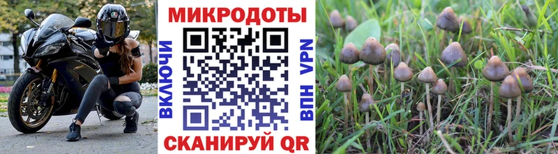 blacksprut ONION Озёры Галлюциногенные грибы прущие грибы